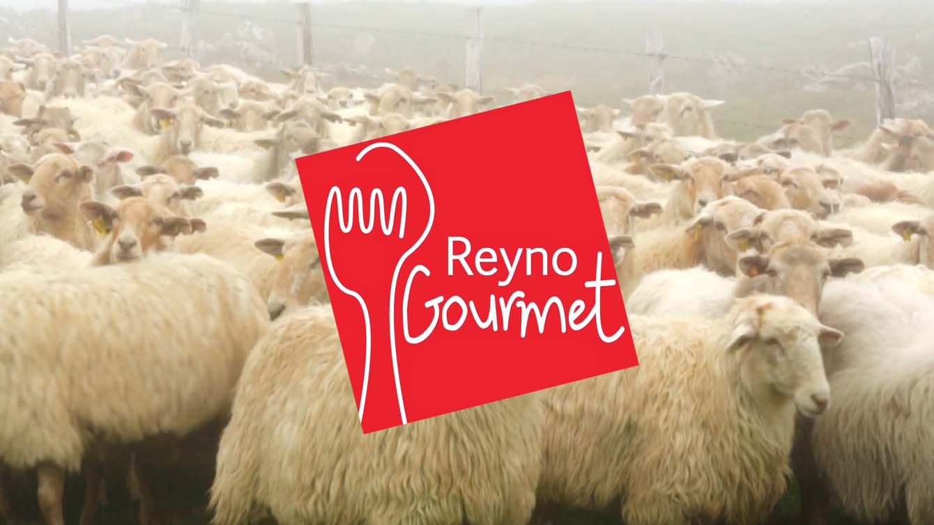 REYNO GOURMET